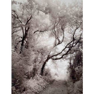 Circa 1989 "Cascade" Black and White Landscape Infrared Photograph From Film by Gary Bartoloni For Sale