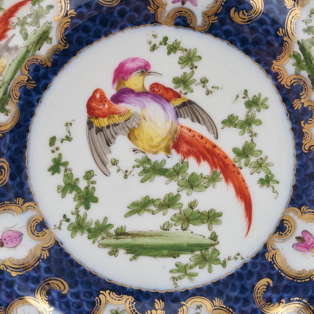 Antique 19th century French Samson porcelain exotic bird plate in the Worcester taste, circa 1880. Decorated with a large...