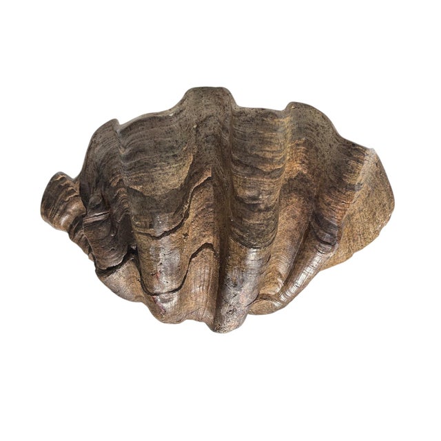 Large Faux Giant Clam Shell Centerpiece Bowl For Sale - Image 16 of 16