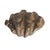 Large Faux Giant Clam Shell Centerpiece Bowl For Sale - Image 16 of 16