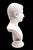 Italian Grand Tour Marble Bust of Augustus Caesar For Sale - Image 4 of 8