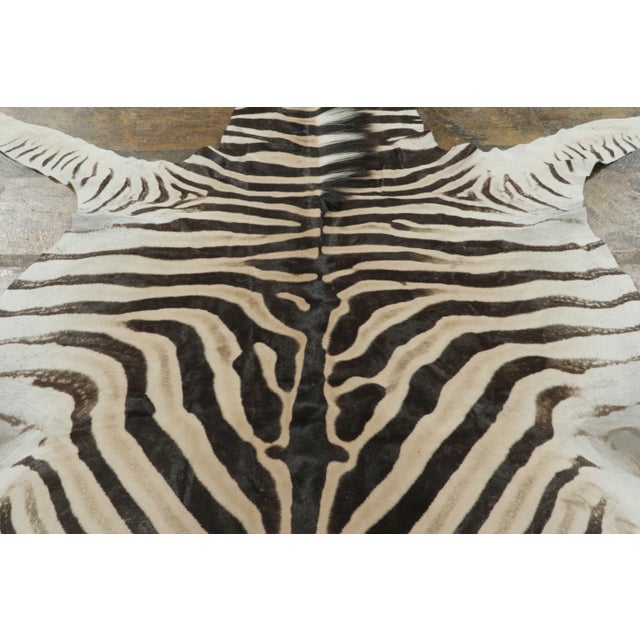 Rug & Kilim Rug & Kilim’s Contemporary Burchell Zebra Hide Rug With Classic Black Stripes (Pair) For Sale - Image 4 of 9