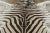 Rug & Kilim Rug & Kilim’s Contemporary Burchell Zebra Hide Rug With Classic Black Stripes (Pair) For Sale - Image 4 of 9