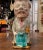 Early 20th Century French Onnaing Barbotine Camille Pelletan Pitcher For Sale - Image 4 of 13