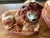 Ceramic Pair of 19th Century Staffordshire Lions For Sale - Image 7 of 18