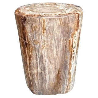 Andrianna Shamaris Coral Toned High Quality Petrified Wood Side Table For Sale