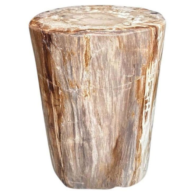Andrianna Shamaris Coral Toned High Quality Petrified Wood Side Table For Sale