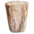 Andrianna Shamaris Coral Toned High Quality Petrified Wood Side Table For Sale