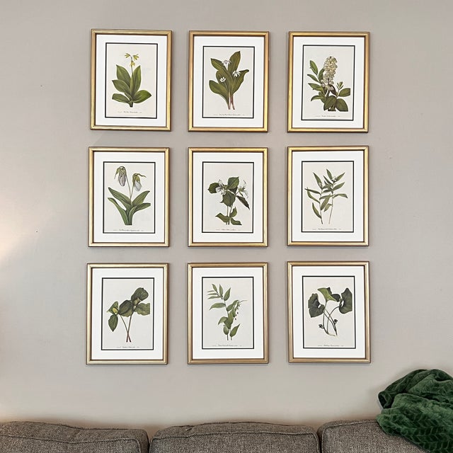 Original Vintage Botanical Prints Framed -Set of 9- 1975 Wild Flower Prints For Sale In Greensboro - Image 6 of 6