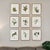 Original Vintage Botanical Prints Framed -Set of 9- 1975 Wild Flower Prints For Sale In Greensboro - Image 6 of 6