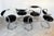 Vintage Cobra Model Chairs by Giotto Stoppino, 1970, Set of 5 For Sale - Image 3 of 18