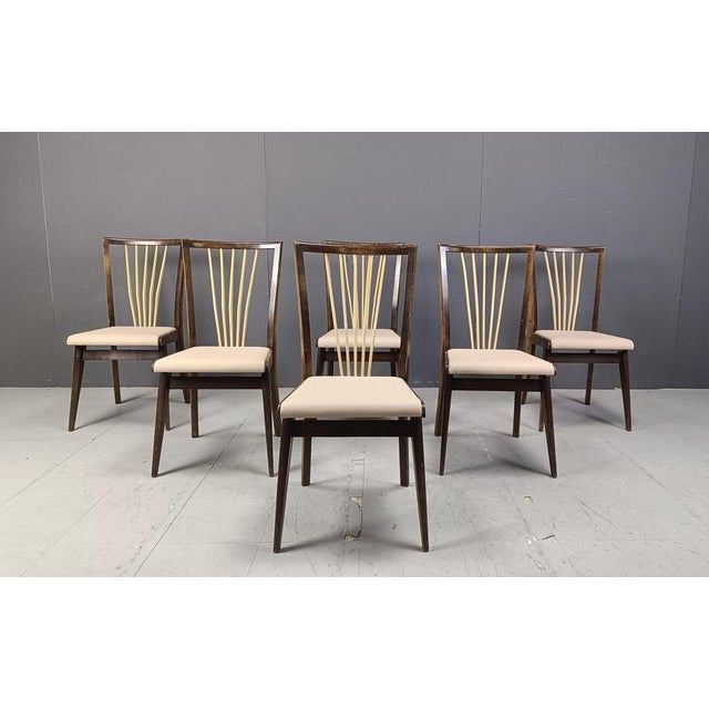 1950s Mid-Century Italian Dining Chairs, 1950s, Set of 6 For Sale - Image 5 of 16