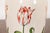 Tiffany & Co. "Tiffany Tulips" Porcelain Vase For Sale In South Bend - Image 6 of 12