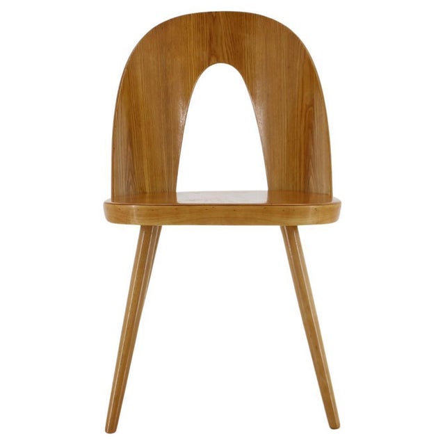Antoni Suman Chair in Walnut, Czechoslovakia, 1960s For Sale - Image 15 of 15