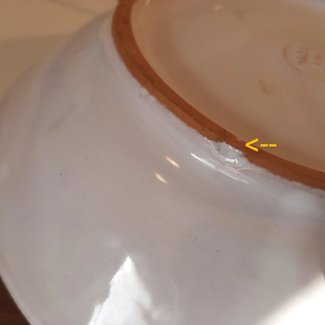 Late 20th Century Italian African Lion Majolica Plate Italy Pottery For Sale - Image 5 of 7