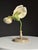 German Botanical Flower Model, 1900 For Sale - Image 17 of 18