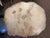 20th Century Petrified Wood Slab Table For Sale In New York - Image 6 of 10
