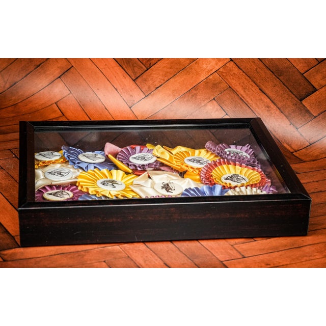 Black Unique Horse Show Ribbon Trophy Collage Vintage Country Home Wall Decor For Sale - Image 8 of 9