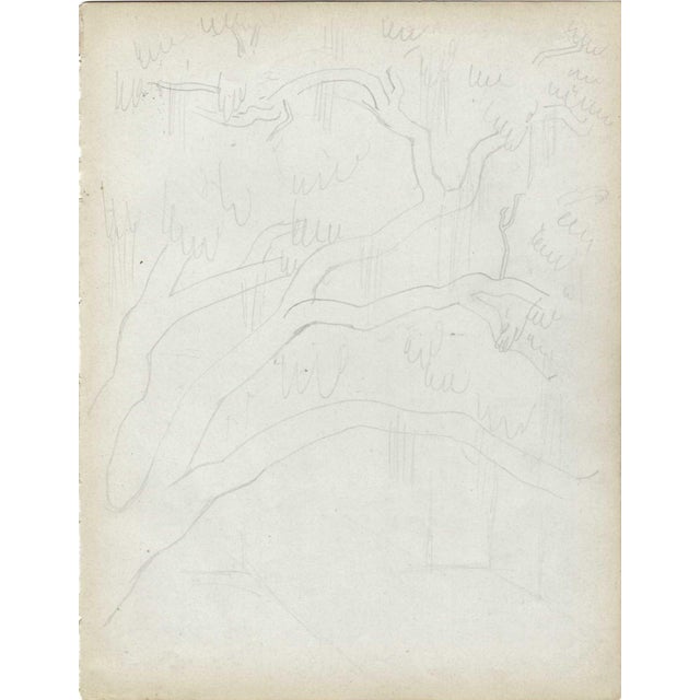 Grace Spongberg (American, 1906-1992) "Biloxi - Live Oaks" graphite on paper, estate stamp on reverse. Grace Spongberg...