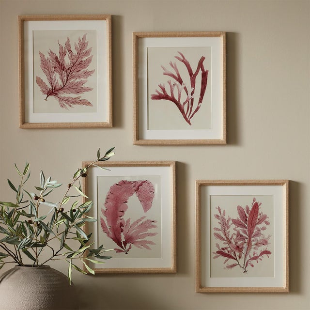 As elegant in style as they are in scale, these monochromatic watercolor seaweed prints are signature upscale coastal...