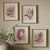 As elegant in style as they are in scale, these monochromatic watercolor seaweed prints are signature upscale coastal...