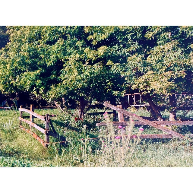Maxwell Mackenzie, Farm Summer Landscape, Large Panoramic Vintage Color Photograph Signed Photo, 1993 For Sale In Miami - Image 6 of 9