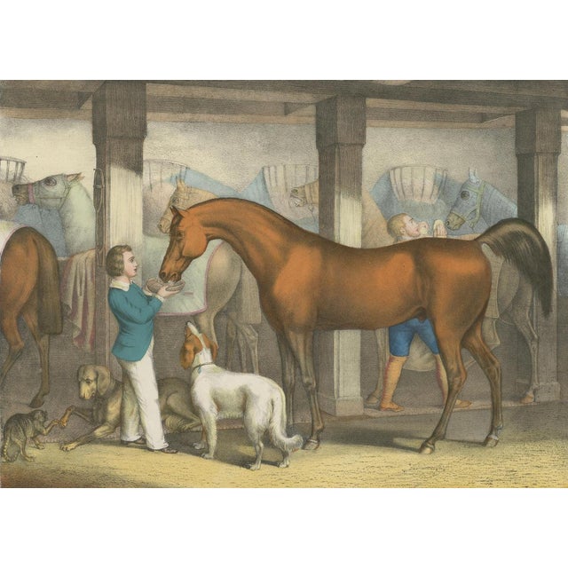 Karl Joseph Brodtmann, The Young Masters Favorites, 1827, Lithograph For Sale - Image 4 of 9