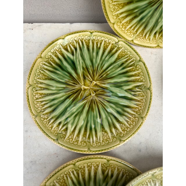Rare Set of 6 French Majolica Palm Plate Sarreguemines, circa 1870. Diameter / 7.5 inches.
