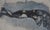 After Auguste Rodin, The child having a siesta, Engraving For Sale - Image 8 of 8