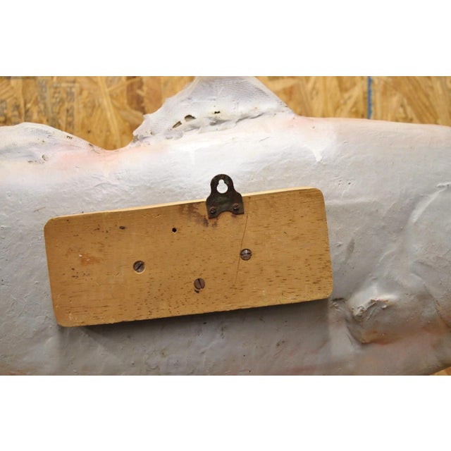 Vintage Large Red Drum Full Wall Mount Taxidermy Redfish Fish Replica For Sale - Image 11 of 12