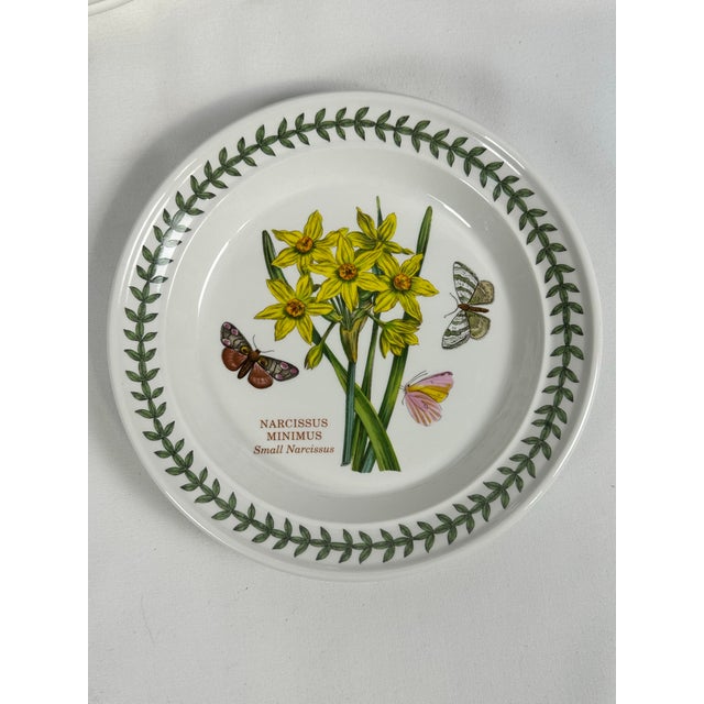 Portmeirion Botanic Garden 1972 England Bread and Butter Plates- Set of 9 For Sale In Dallas - Image 6 of 11