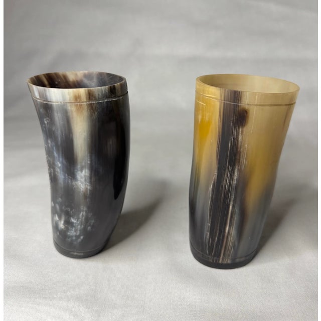 Early 20th Century Pair of Rustic European Horn Vases For Sale - Image 5 of 12