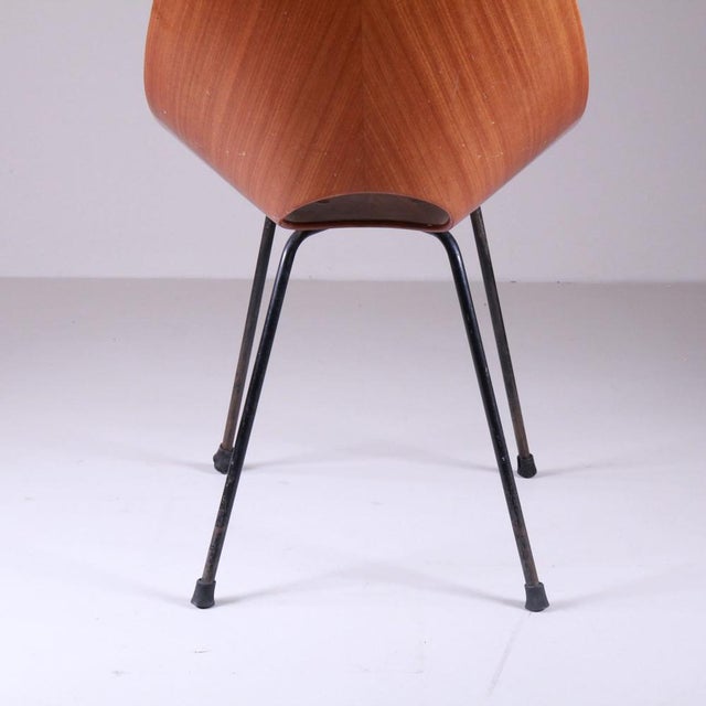 Mid-Century Modern Medea Chairs by Vittorio Nobili for Fratelli Tagliabue, 1960s, Set of 10 For Sale - Image 3 of 8