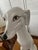 Ceramic Vintage Italian Ceramic Greyhound Whippet For Sale - Image 7 of 12