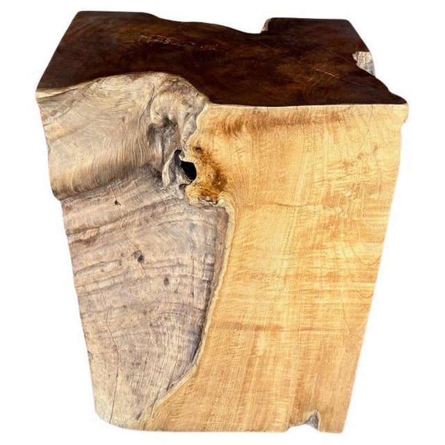 Andrianna Shamaris Sculptural Teak Wood Side Table Or Pedestal For Sale - Image 15 of 18