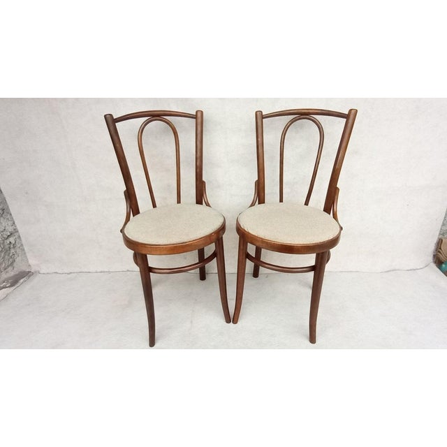 Set of Beech Bentwood Chairs from Tatra, 1960s For Sale - Image 4 of 17