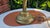 Pre-war brass lamp, Dimensions: height 62 cm, lampshade diameter 31 cm, base diameter 17.5 cm; E14 bulb socket. European...