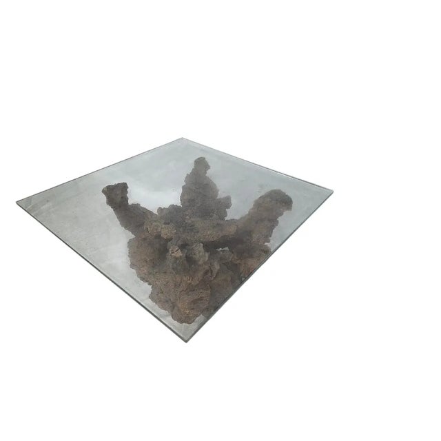 Mid 20th Century Vintage Root Side Table With Glass Top For Sale - Image 5 of 5