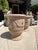 Beige Pair of 31 Inch French Anduze Planters With Antique Patine, Fleur De Lys For Sale - Image 8 of 12