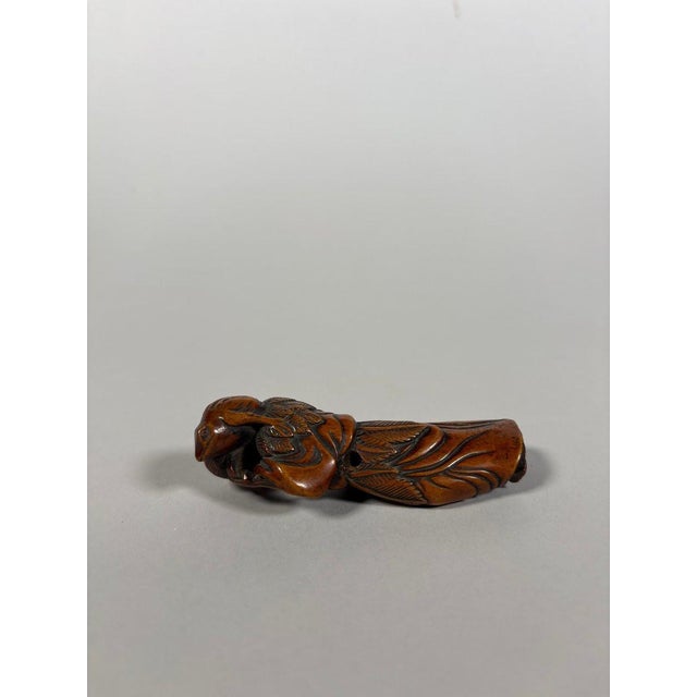 Wood Wooden netsuke, early 18th century, Edo period, Japan For Sale - Image 7 of 12