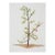 Early 21st Century Sparse Christmas Tree Watercolor Painting For Sale
