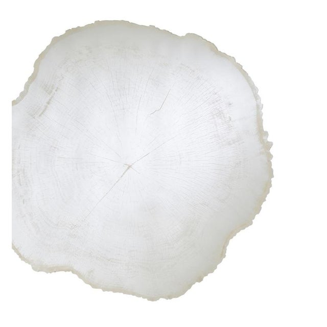 Frosted White Wood Edge Mirror from Deknudt Mirrors For Sale - Image 4 of 18