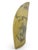 American Save the Whale Polymer Faux Scrimshaw Reproduction Peacock Epervier Artek Tooth For Sale - Image 3 of 13