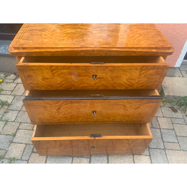 Biedermeier Chest of Drawers in Birch, 1830 For Sale - Image 10 of 16