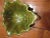 small mid-century ceramic green-leaf bowl, not marked, 5", has small chip on one edge and a few minor scratches.