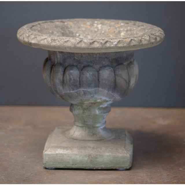 Gray English Garden Stone Urn or Planter Pot on Square Plinth Base For Sale - Image 8 of 10