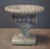 Gray English Garden Stone Urn or Planter Pot on Square Plinth Base For Sale - Image 8 of 10