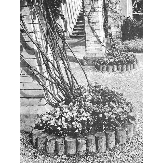 "Flowers in History" 1970 Coats, Peter For Sale - Image 4 of 12