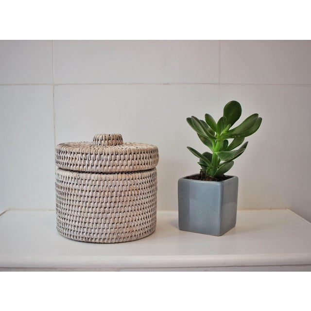 Artifacts Rattan Round Single Tissue Roll Box in White Wash For Sale - Image 4 of 6