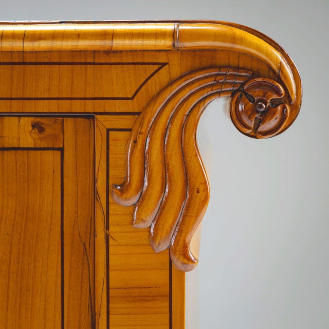 Biedermeier Chest of Drawers from Danube Monarchy, 1830s For Sale - Image 9 of 13